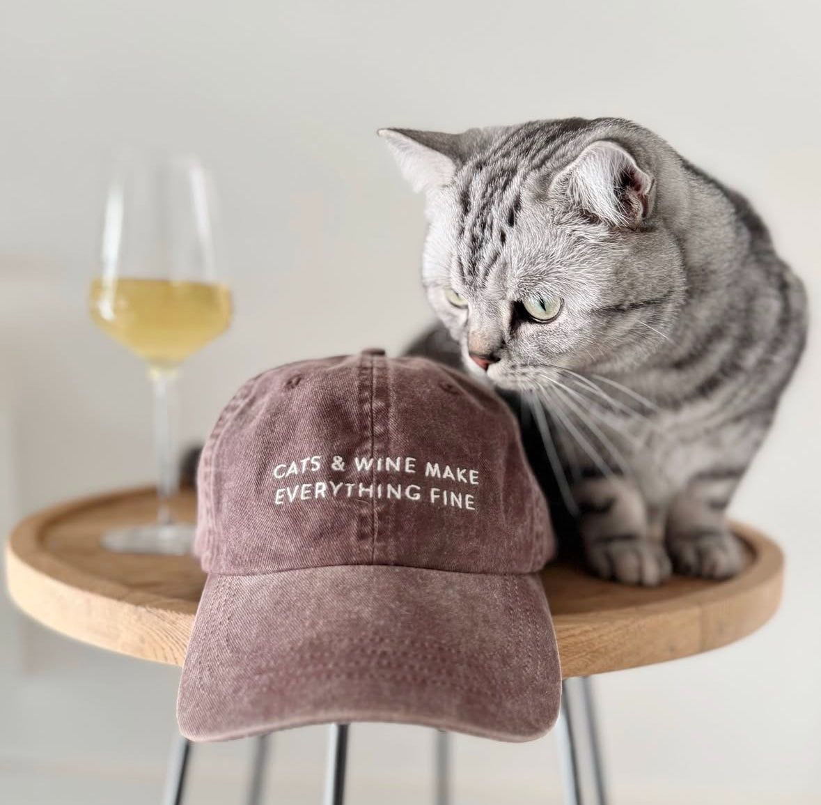Braune Denim Cap - Cats & Wine Make Everything Fine