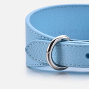 Baby Blue Hundehalsband Breit