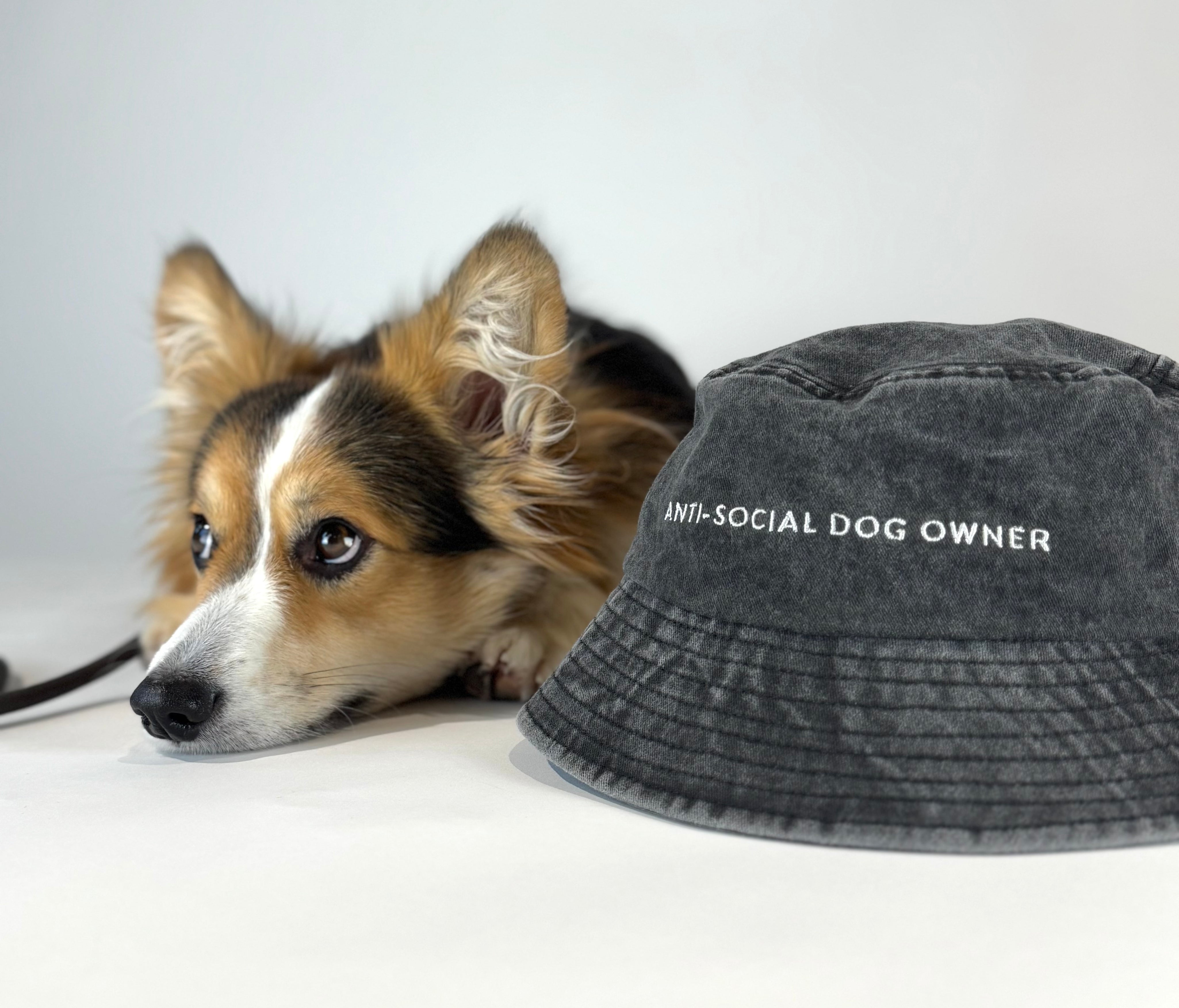 Schwarzer Denim-Eimerhut - Anti-Social Dog Owner