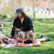 Schwarze Denim Cap - Dogs Before Dudes