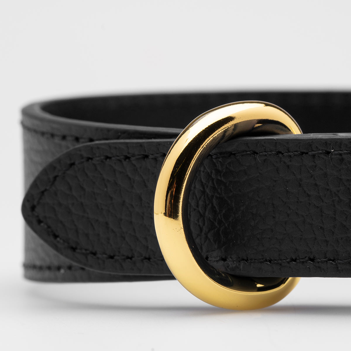 Schwarzes Hundehalsband Dünn