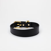 Schwarzes Hundehalsband Dünn