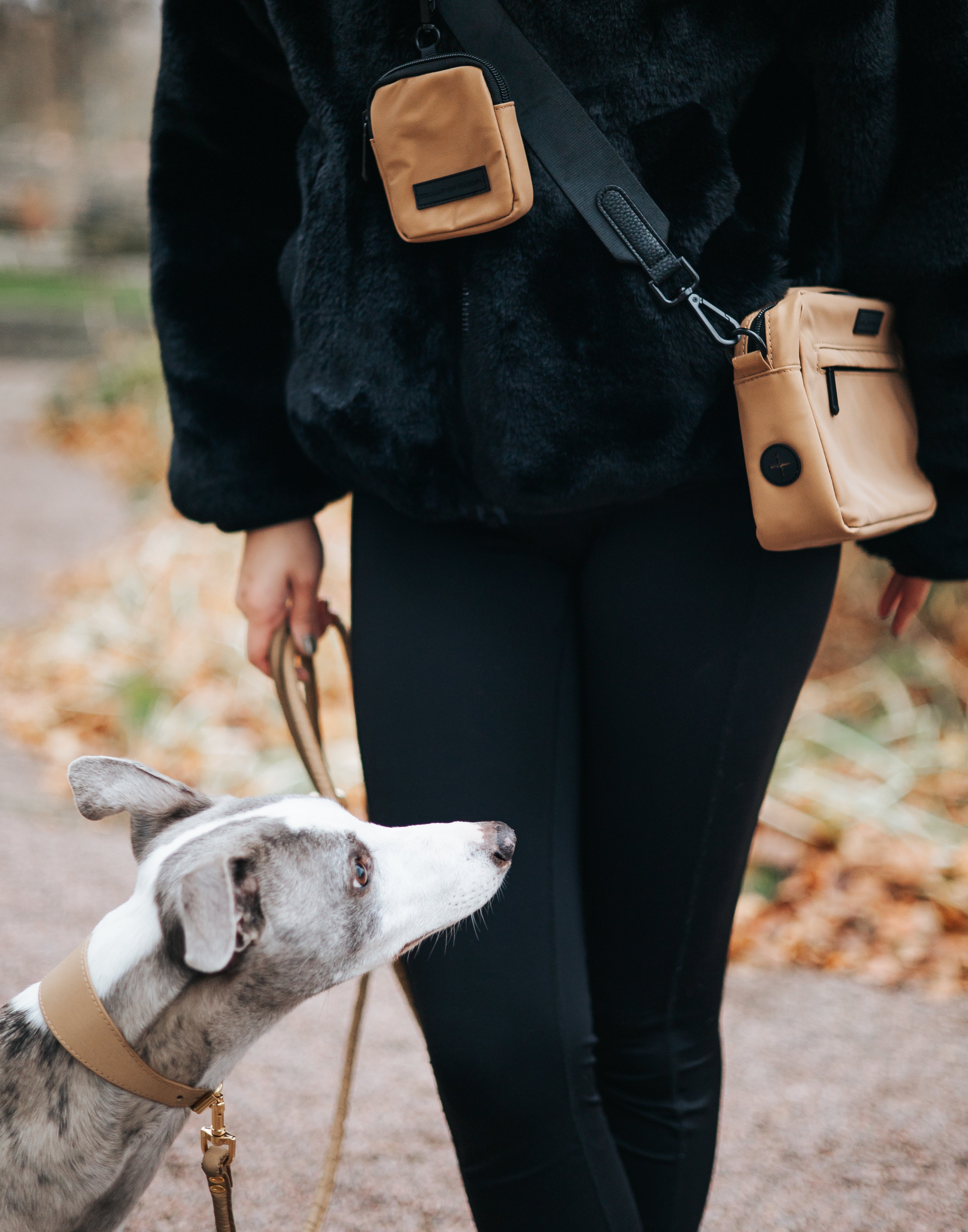 Reflektierende Bronze Hundespaziergang Tasche - Crossbody