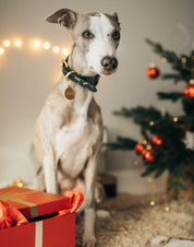 Weihnachten Hundehalsband Breit