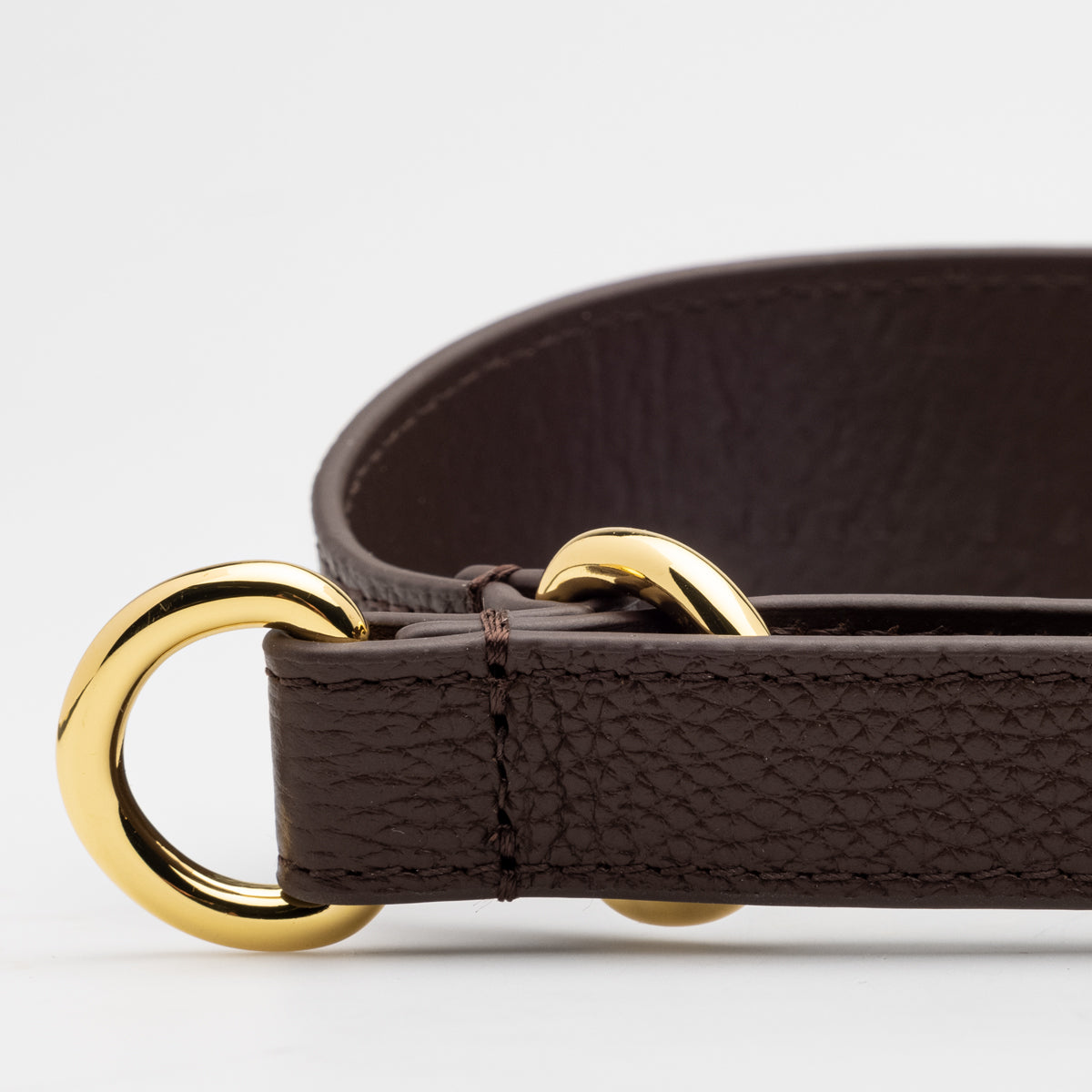 Kaffeebraune Hundemartingale Breit