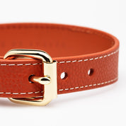 Cognac Hundehalsband Dünn