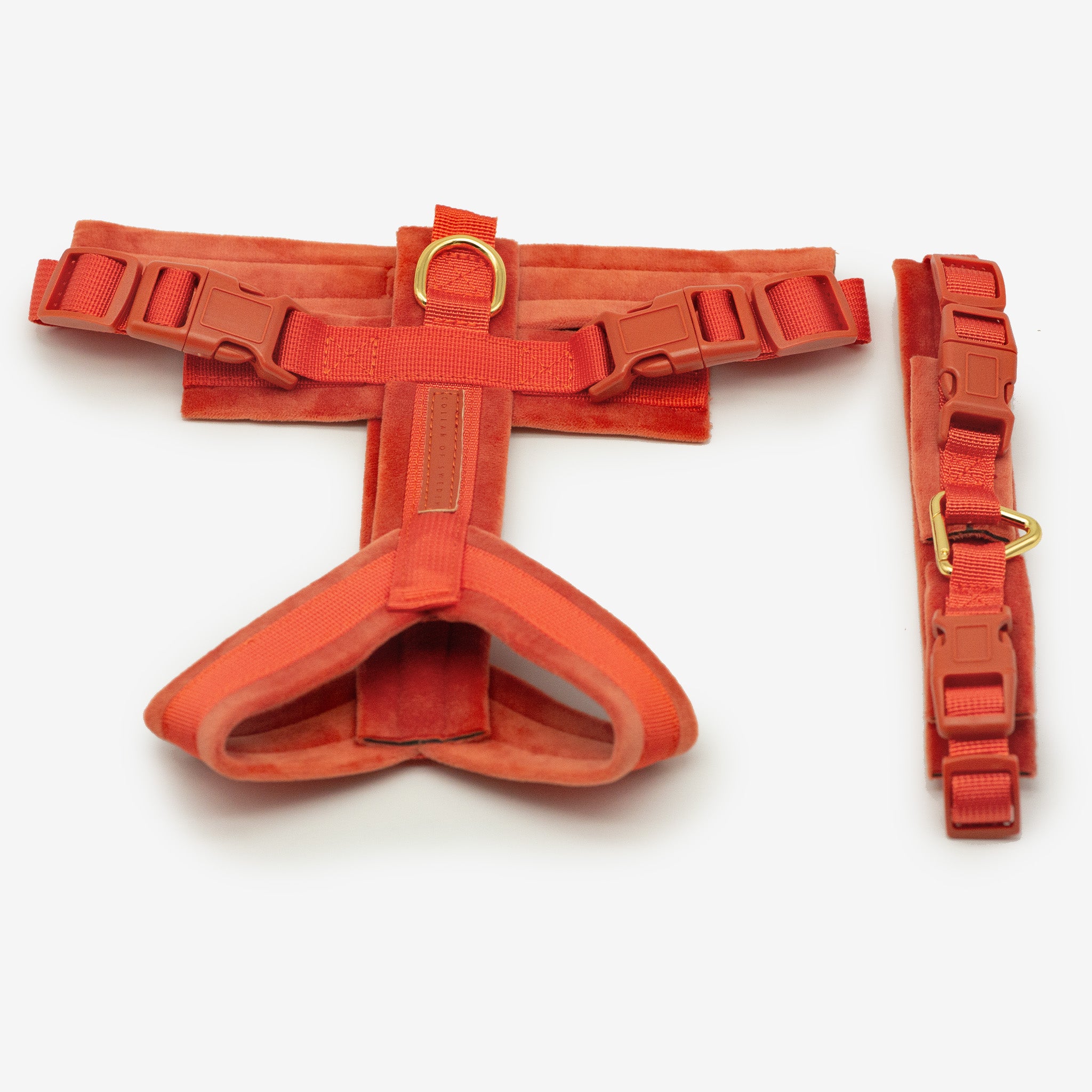 Cognac Y-Gurtzeug XS