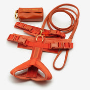 Cognac Y-Gurtzeug XS