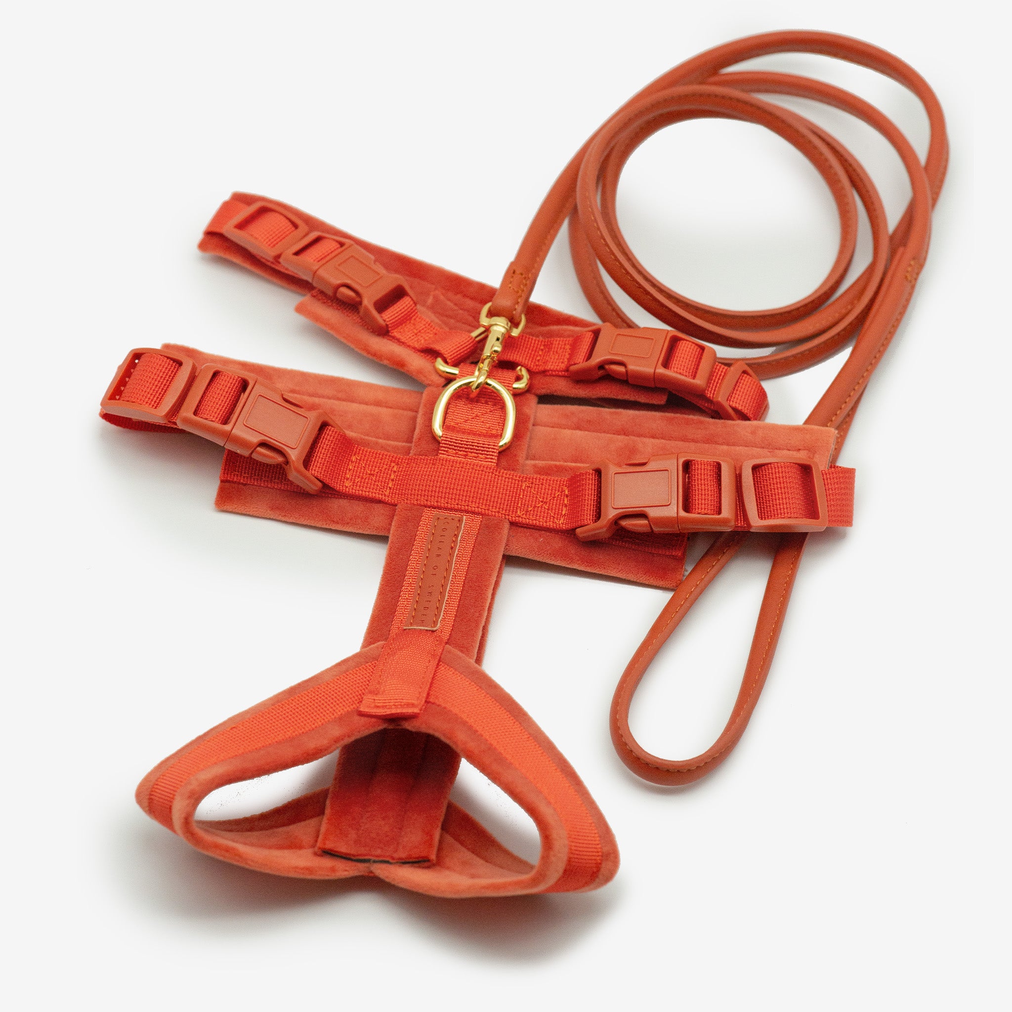 Cognac Y-Gurtzeug XS