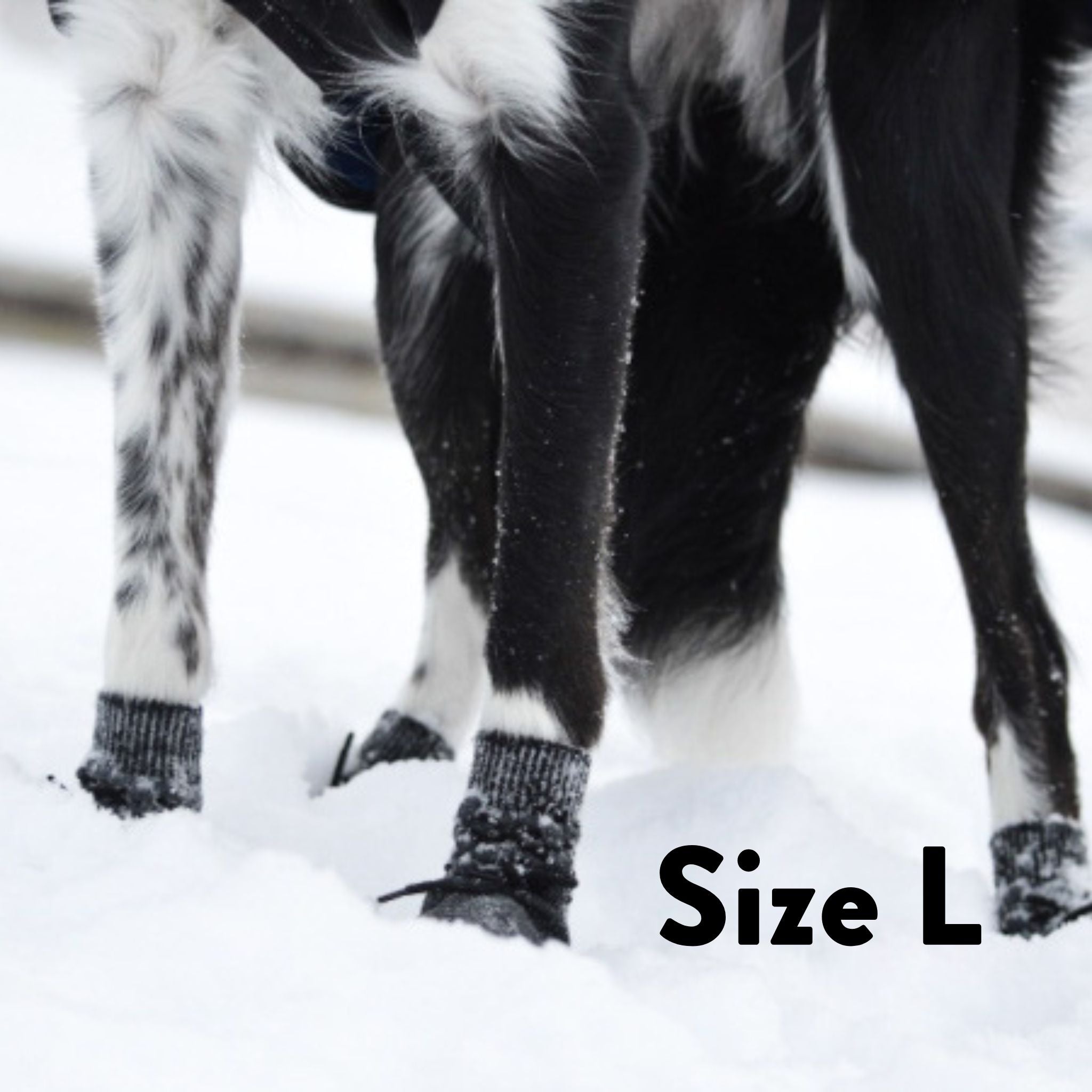 Hundesocken - 4er Pack
