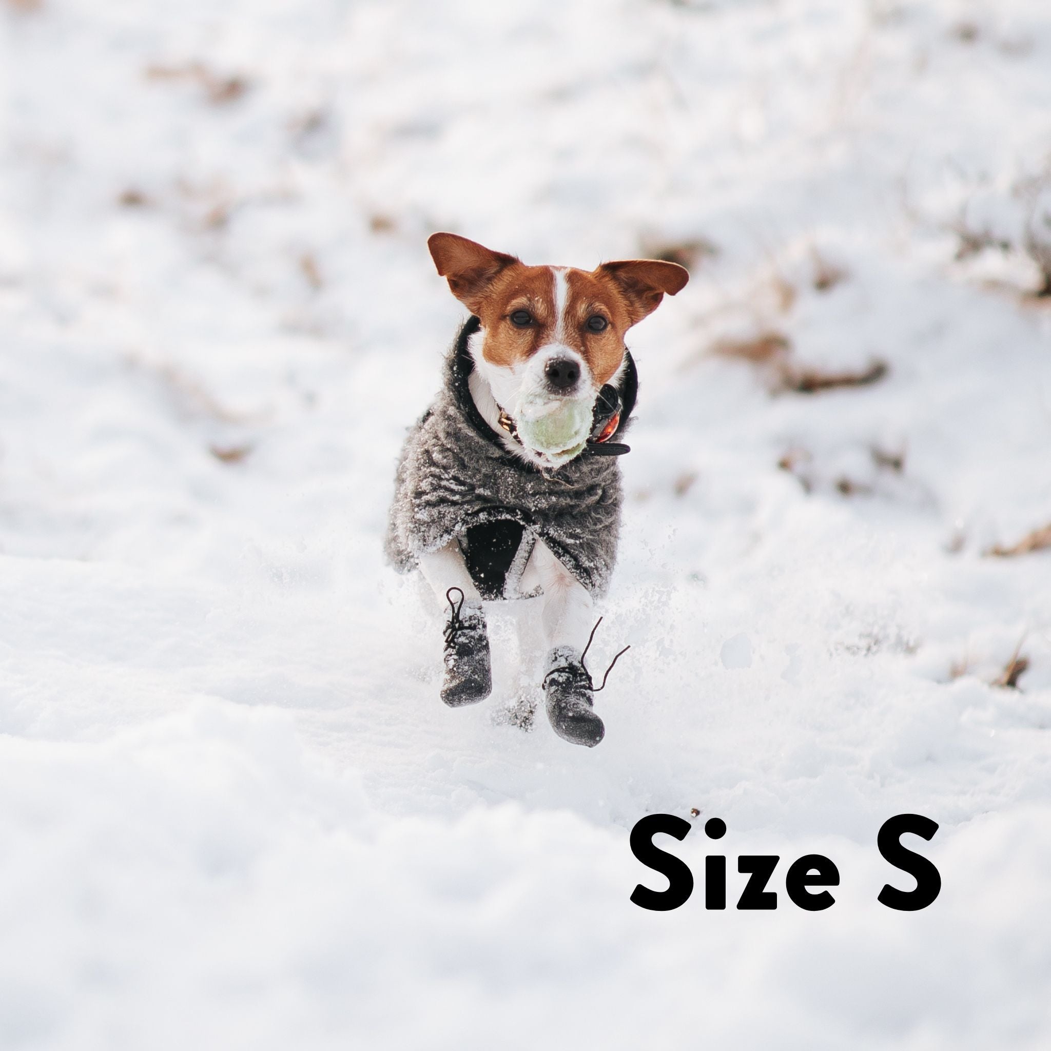 Hundesocken - 4er Pack