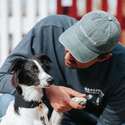 Grüne Denim Cap - The Dogfather