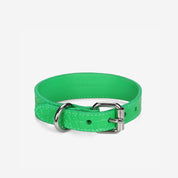 Reines Grünes Krokodil Hundehalsband Dünn