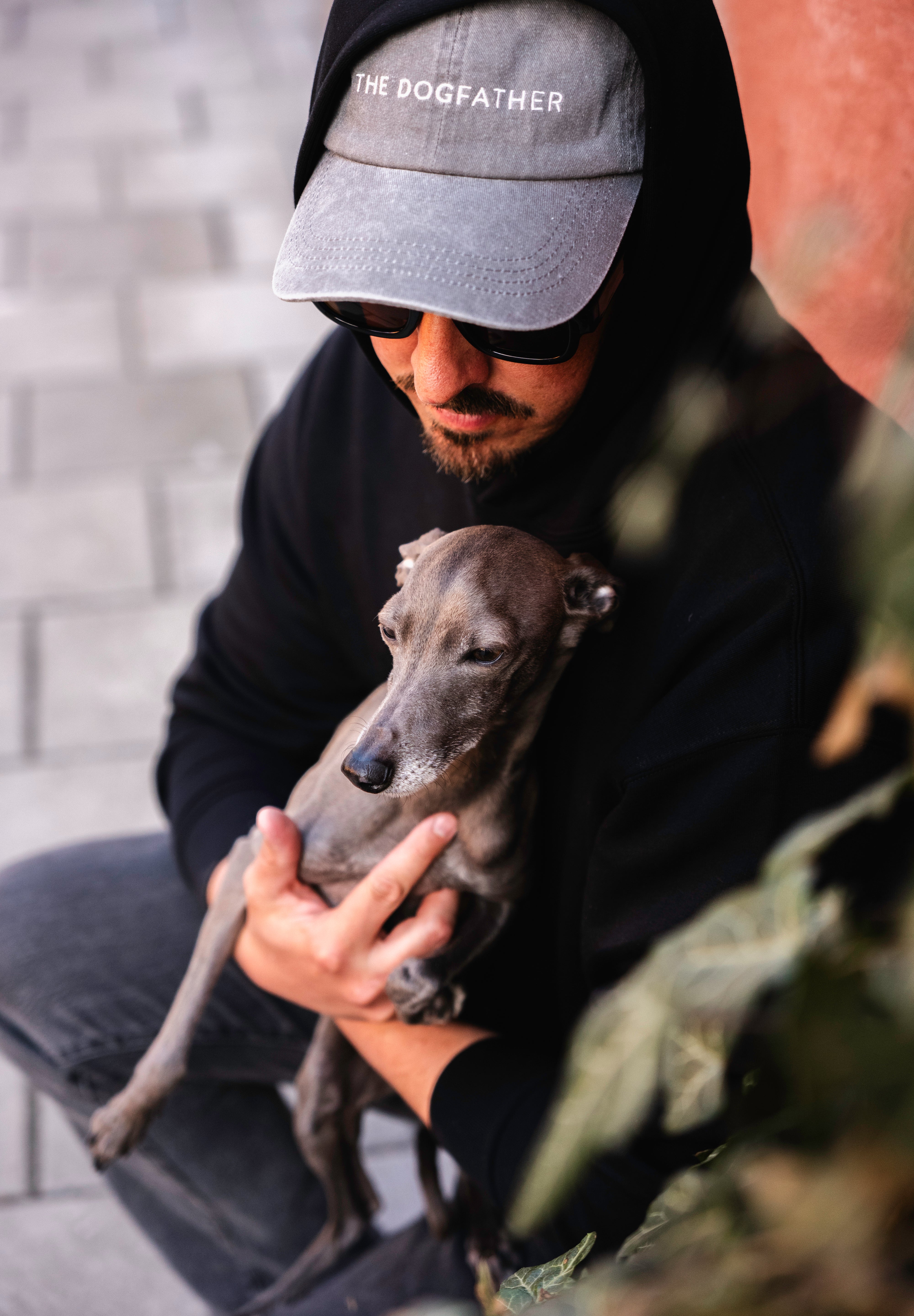 Graue Denim-Cap - The Dogfather 