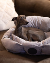 Graues Hundebett 3in1