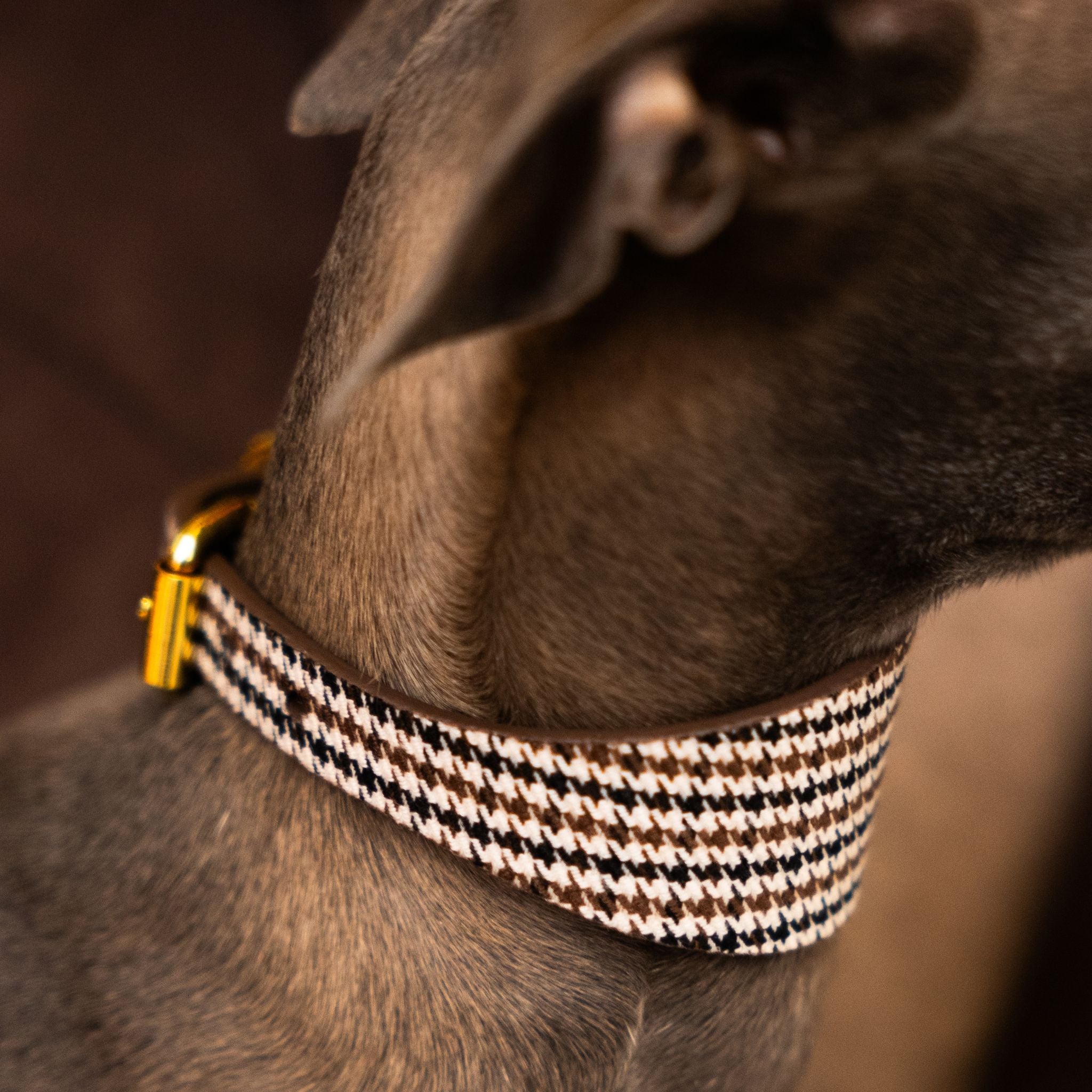 Beiges Hahnentrittmuster Hundehalsband Breit