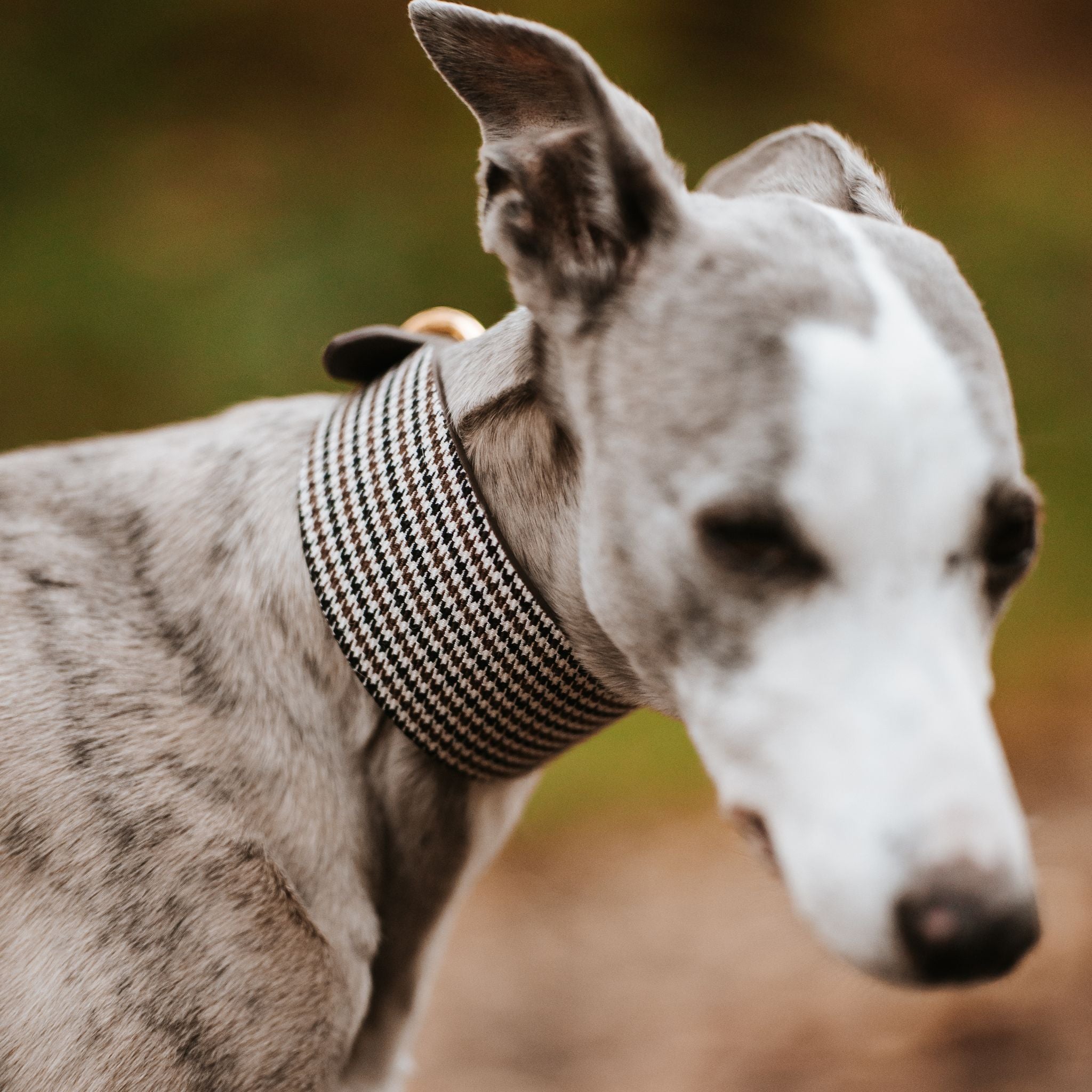 Beiges Hahnentrittmuster Hundehalsband Breit