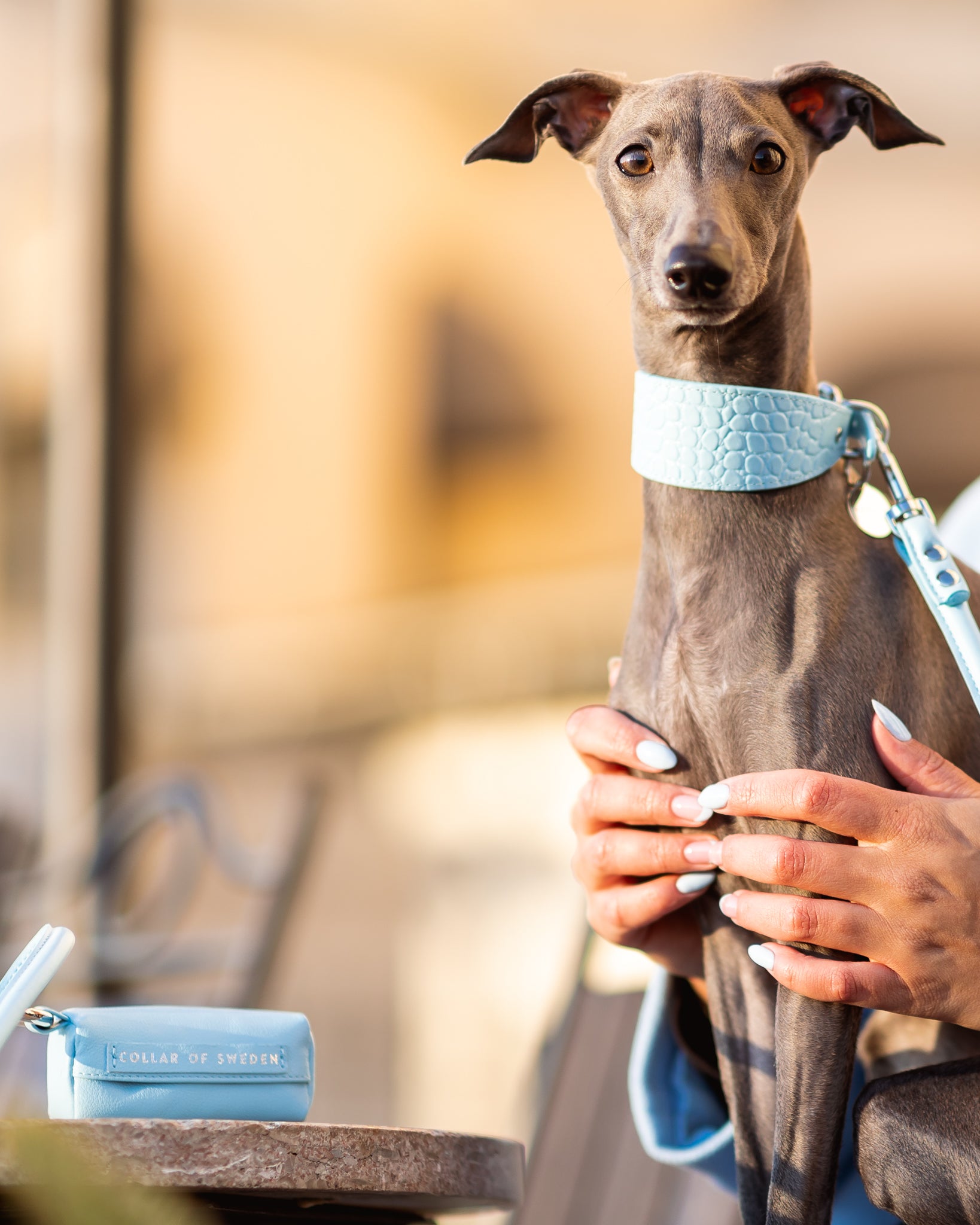 Baby Blue Kotbeutelhalter