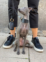 Schwarzes Krokodil-Hundehalsband breit