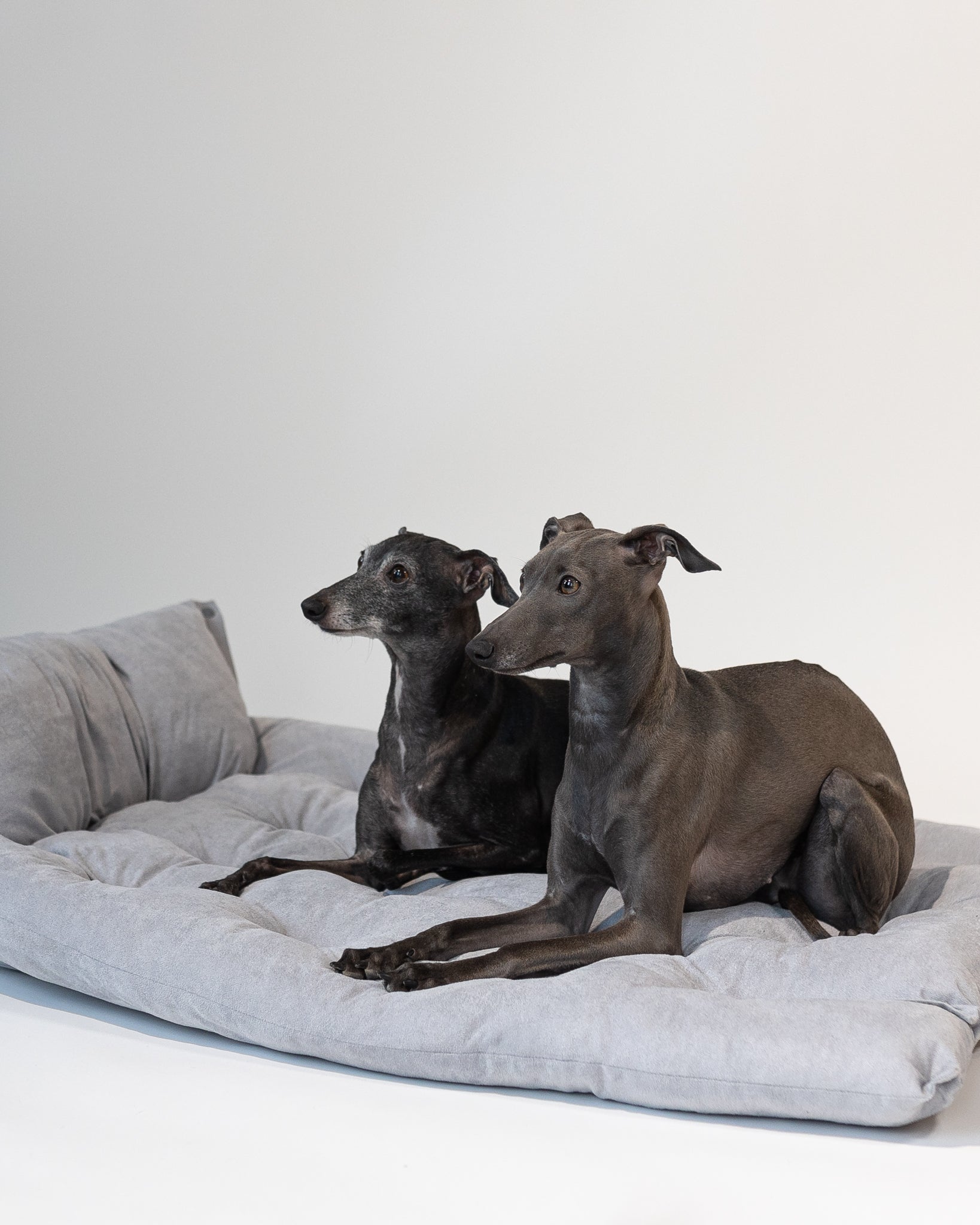 Graues Hundebett 3in1