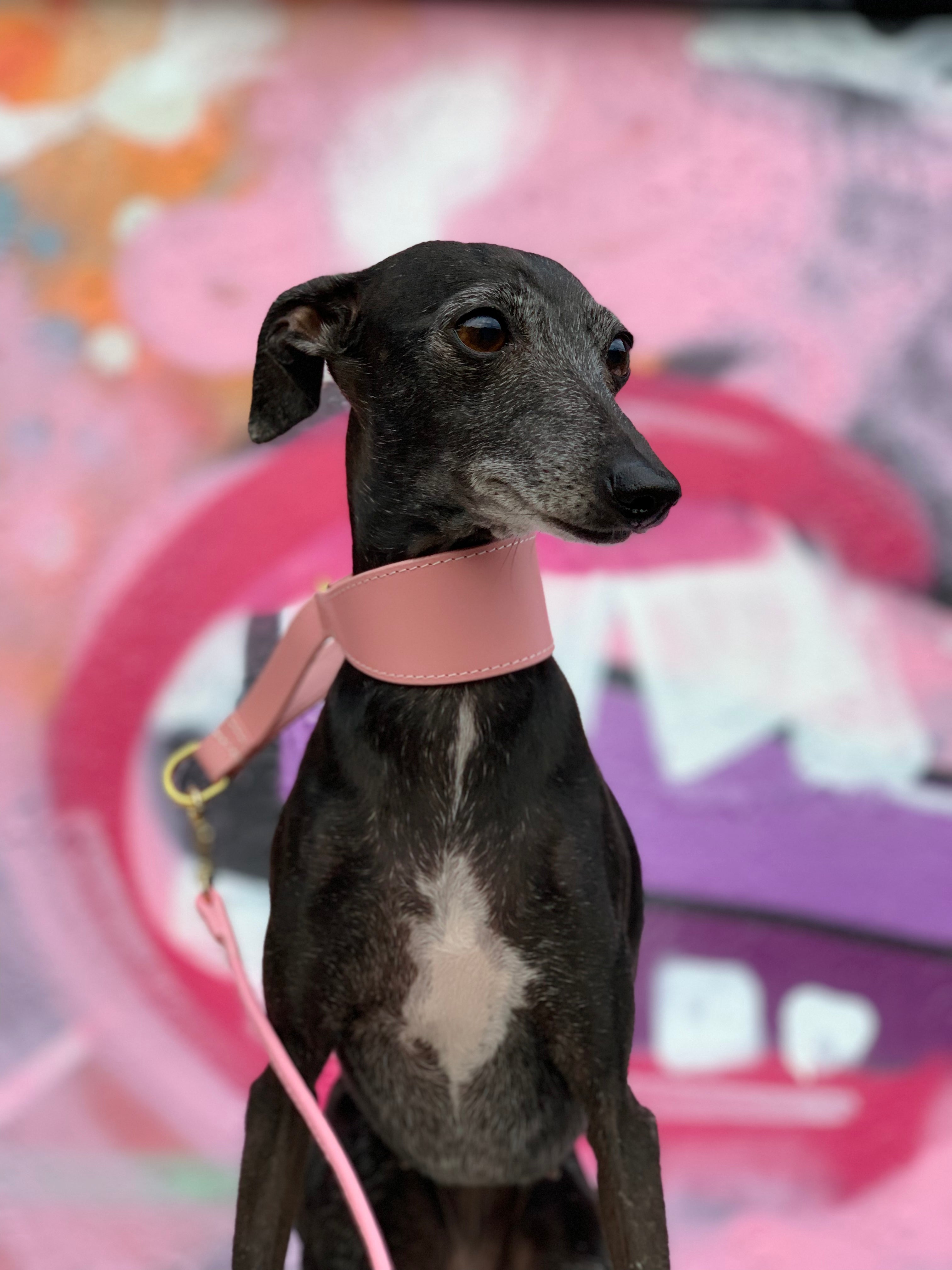 Rosa Hundemartingal Breit