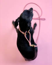Rosa Hundemartingal Breit
