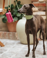 Pastel Grünes Krokodil Halsband für Hunde Wide