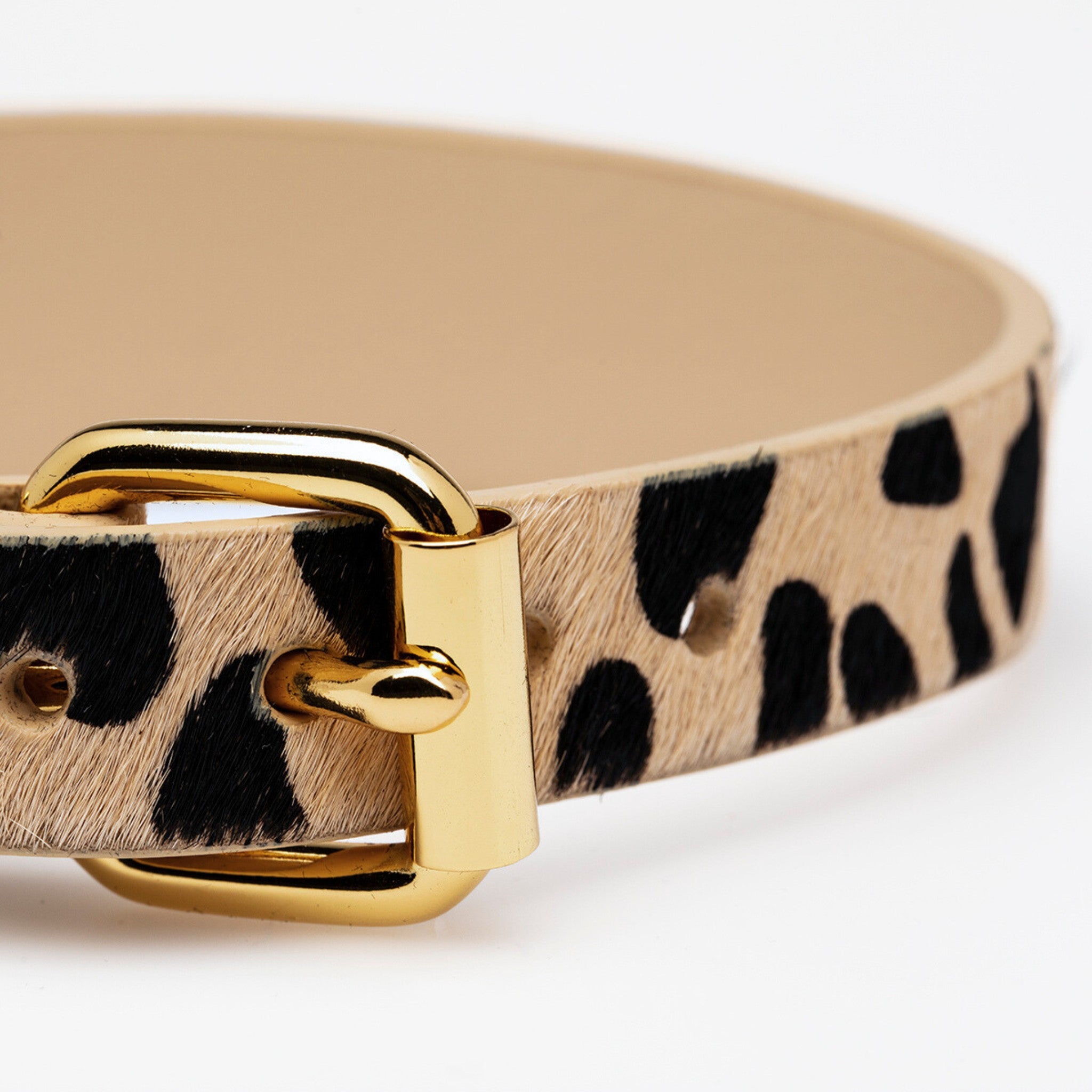 Leoparden Hundehalsband Breit