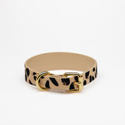 Leoparden Hundehalsband Dünn