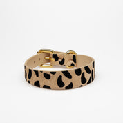 Leoparden Hundehalsband Dünn