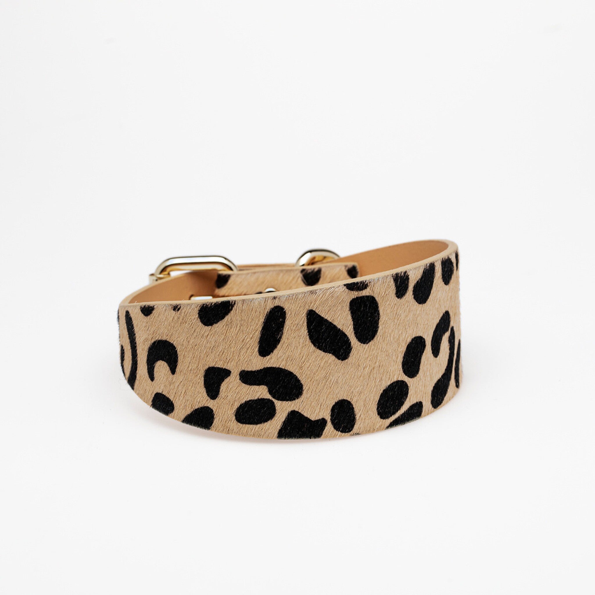 Leoparden Hundehalsband Breit