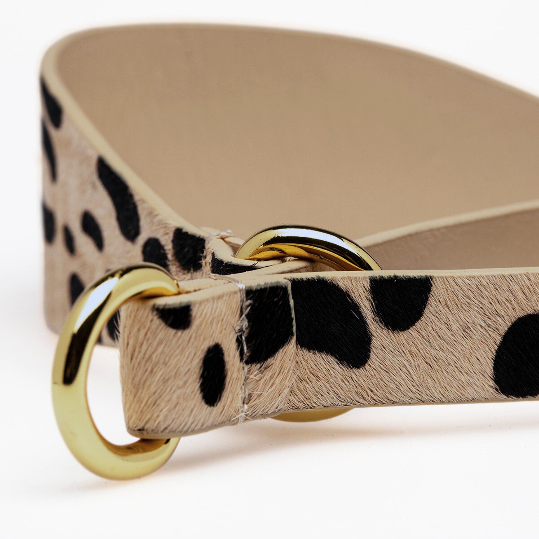 Leopardenhund Martingale Breit