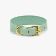 Mint Hundehalsband Dünn