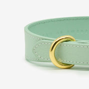 Mint Hundehalsband Dünn