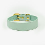 Mint Hundehalsband Dünn