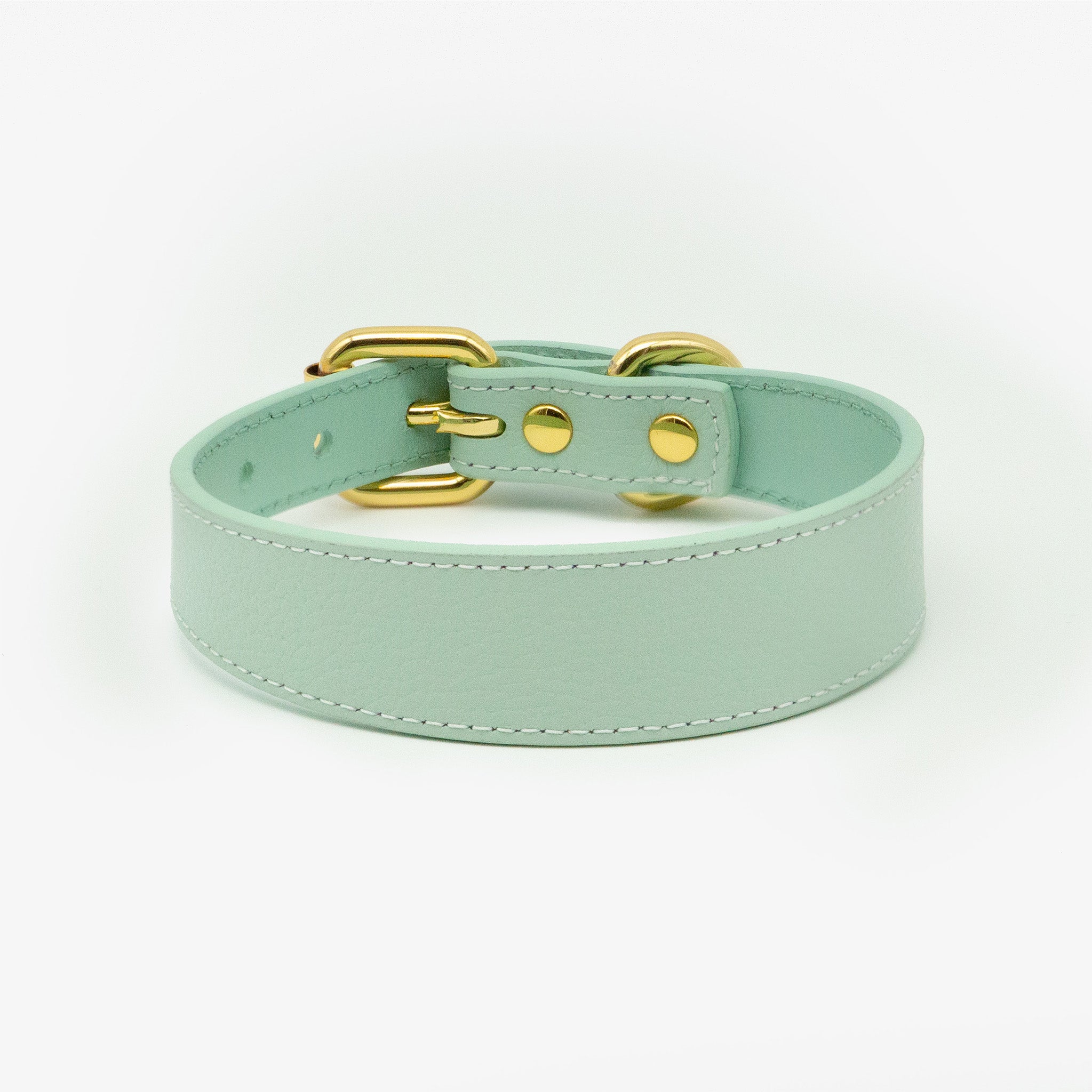 Mint Hundehalsband Dünn