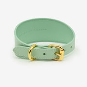 Mint Hundehalsband Breit
