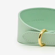 Mint Hundehalsband Breit