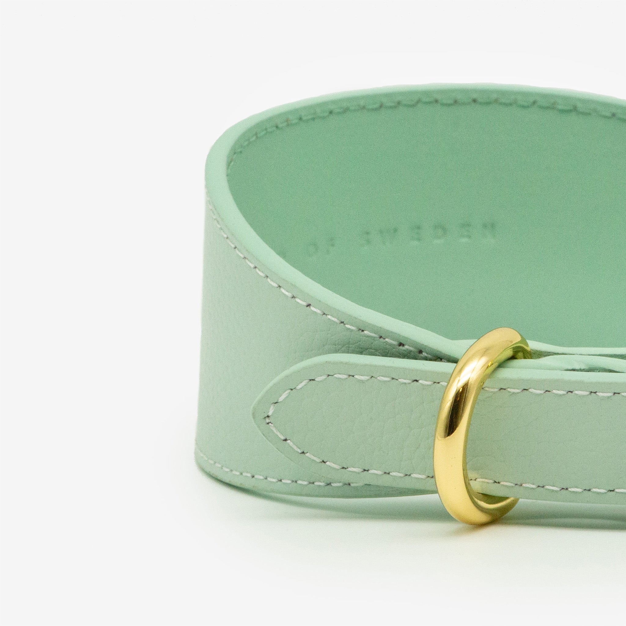 Mint Hundehalsband Breit