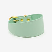 Mint Hundehalsband Breit
