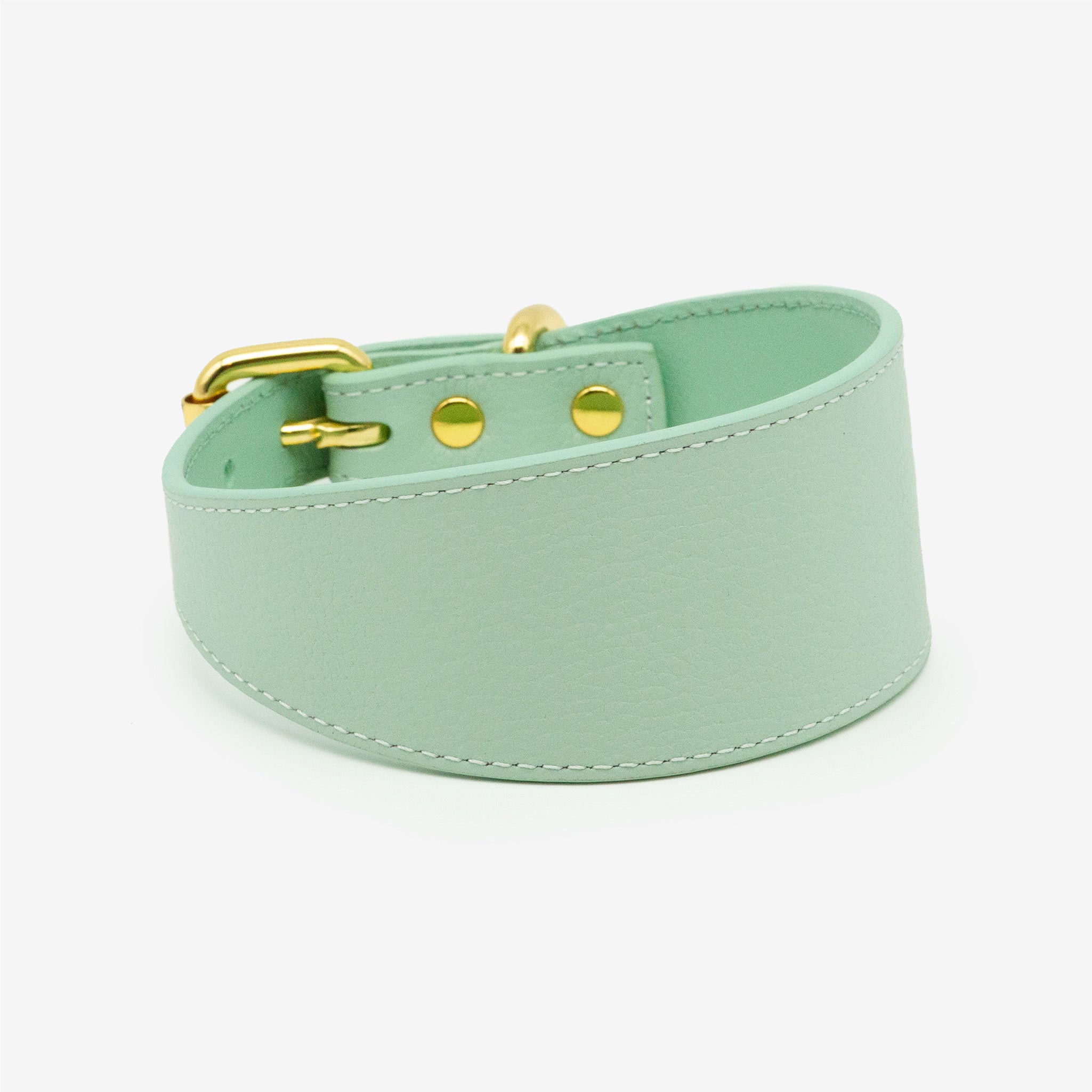 Mint Hundehalsband Breit