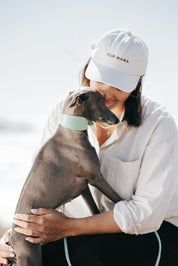 Mint Hundehalsband Breit