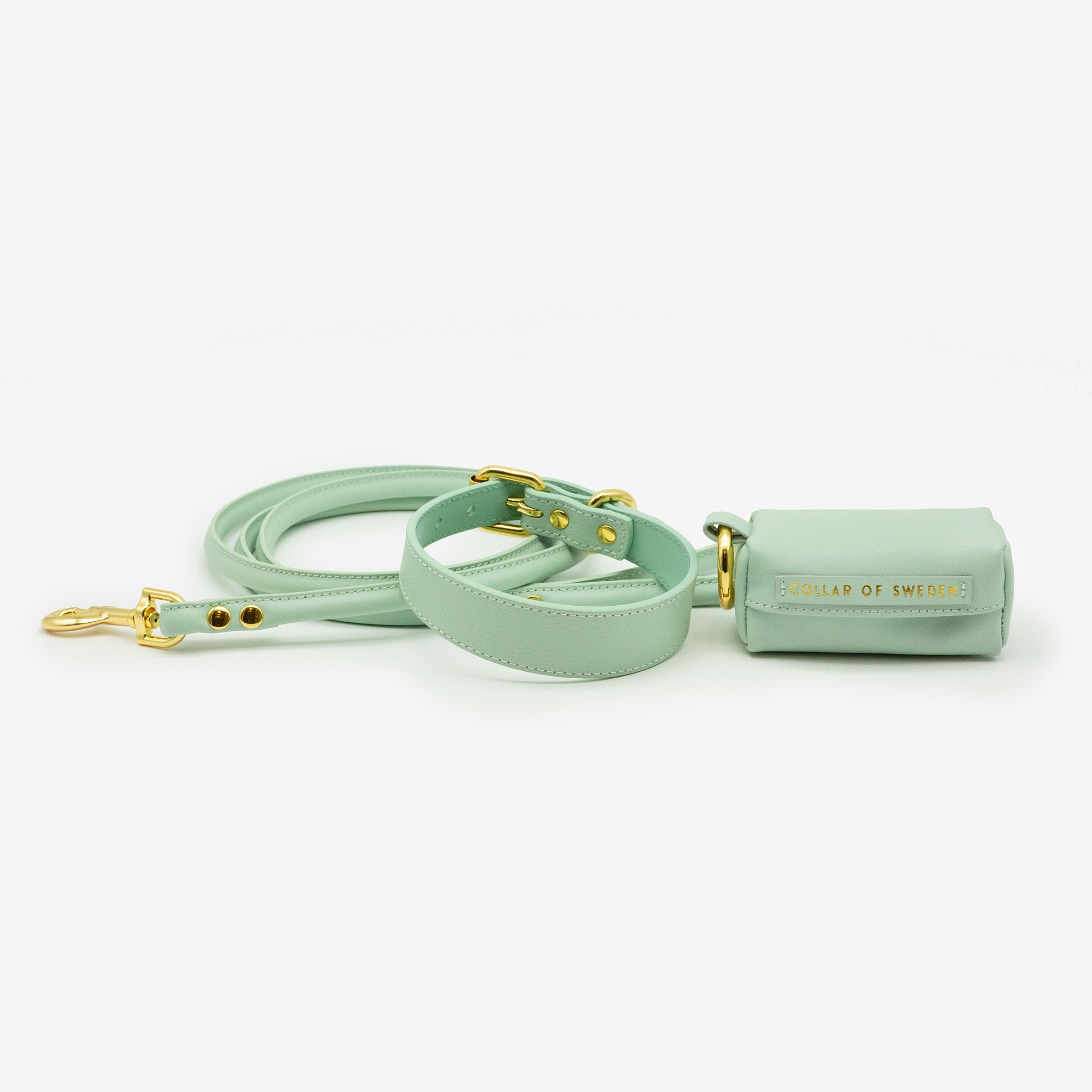Mint Hundehalsband Dünn