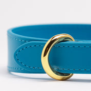Neon Blaues Hundehalsband Dünn