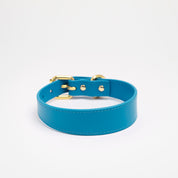 Neon Blaues Hundehalsband Dünn
