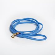 Neon Blaue Hundeleine