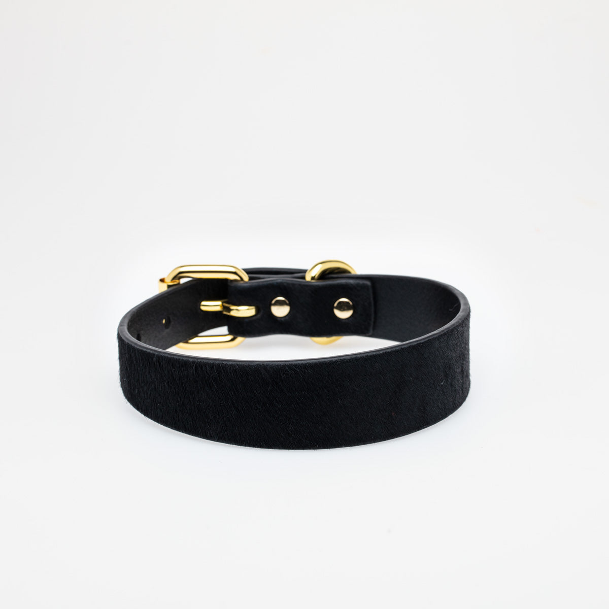 Panther Hundehalsband Dünn