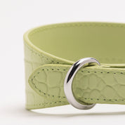 Pastel Grünes Krokodil Halsband für Hunde Wide