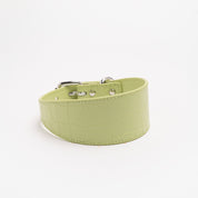 Pastel Grünes Krokodil Halsband für Hunde Wide