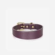 Pflaume Hundehalsband Dünn